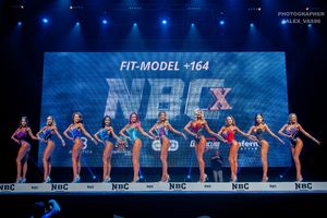 FIT-MODEL +164- 1 раунд